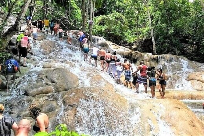 Aqua Fun Tours Dunns Falls, River Tubing and Horse Back - Who will enjoy this outing most?