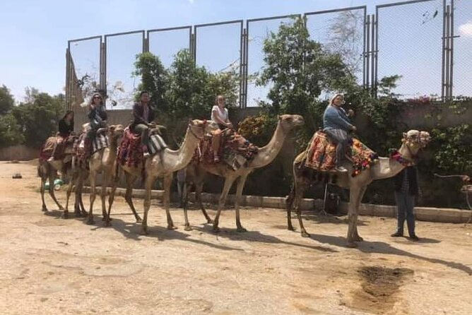 Arabian Nights immersion Pyramids Horse,camel Ride,Bedouin Tea - Booking and cancellation details