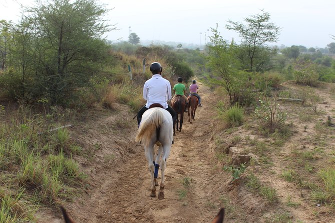 Aravali Trail Experience( Jungle Safari Forest area)- Horseback Riding - What the $14 price really covers