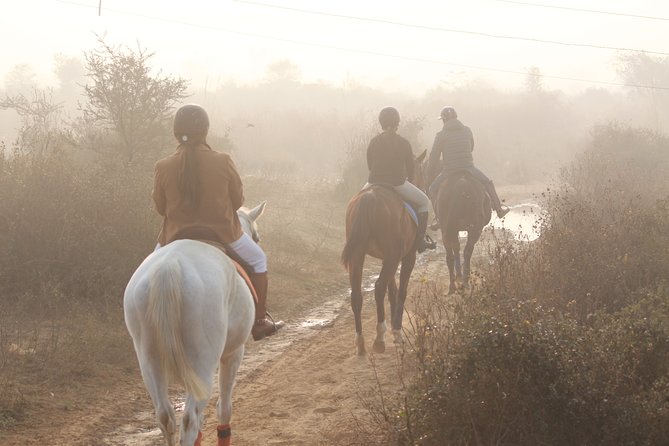 Aravali Trail Experience( Jungle Safari Forest area)- Horseback Riding - A private two-hour ride through the hills