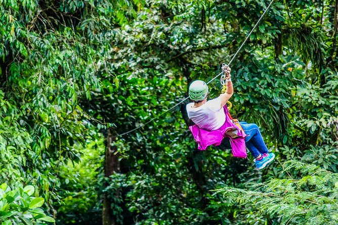 Arenal Canopy and Horseback Riding Adventure - Eight cables through the Arenal rainforest