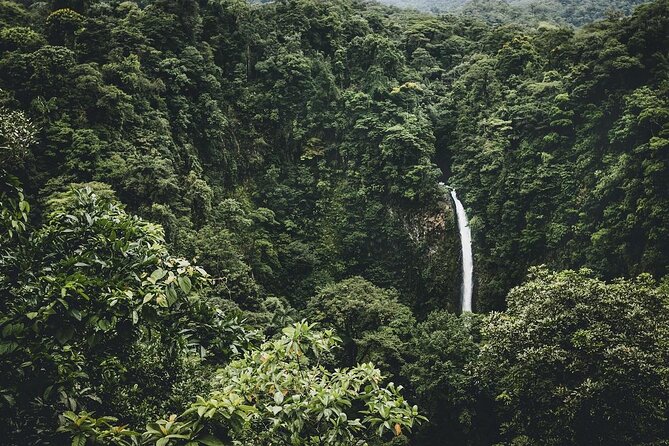 Arenal Horseback Riding to La Fortuna Waterfall - Key details before you book