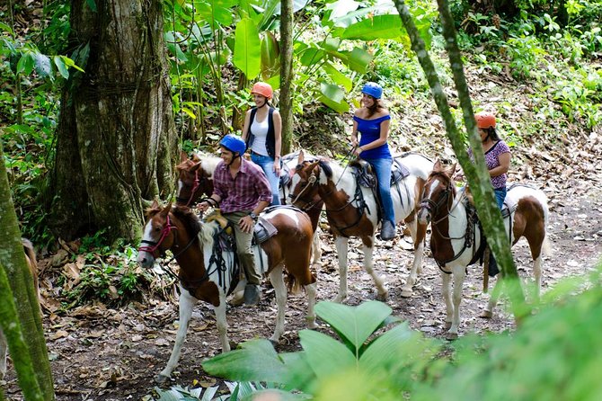 Arenal Volcano River Horseback Riding Tour - What the three-hour route feels like