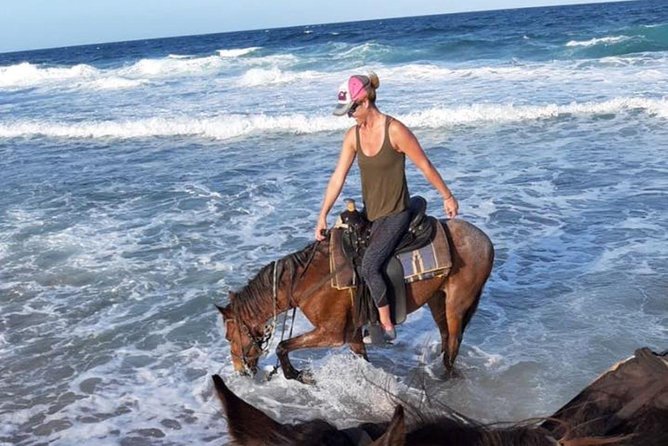 Aruba 2,5 hrs Horseback Riding For Advanced Riders - Reaching the rough northeast coast