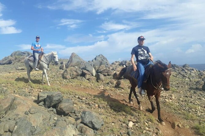 Aruba 2,5 hrs Horseback Riding For Advanced Riders - Beach gallops, dunes, and cactus fields