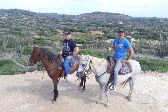Aruba 2,5 hrs Horseback Riding For Advanced Riders - How the guide sets the pace