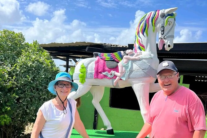 Aruba Beach Ecological Horseback Ride - The beach stop is made for pictures