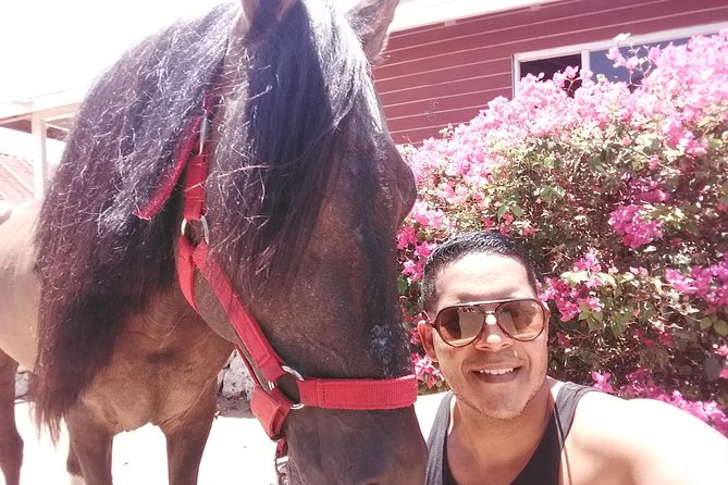 Aruba Beach Ecological Horseback Ride - How comfortable is the 75-minute ride?
