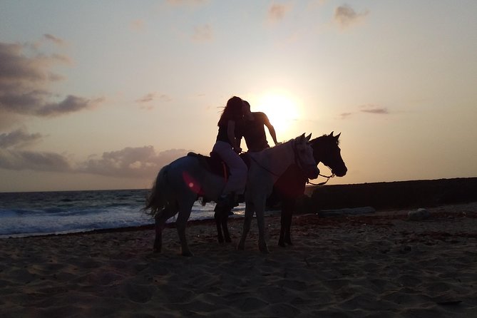Aruba Beach Ecological Horseback Ride - Hotel pickup makes the outing easier