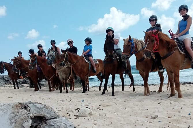Aruba Beach Ecological Horseback Ride - Who should book this Aruba ride?