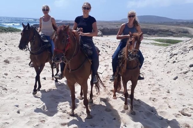 Aruba Countryside: Horseback Adventure to Urirama Cove - From Resort Roads to Aruba’s Open Country