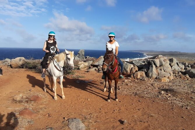 Aruba Countryside: Horseback Adventure to Urirama Cove - The Horses, Guides, and First Few Minutes