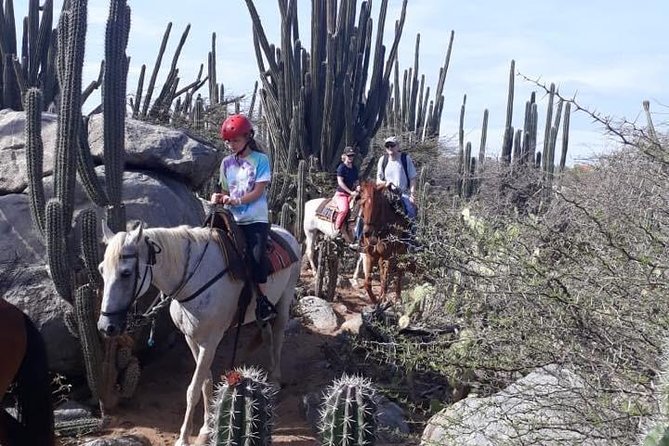 Aruba Countryside: Horseback Adventure to Urirama Cove - Timing, Heat, and What to Wear