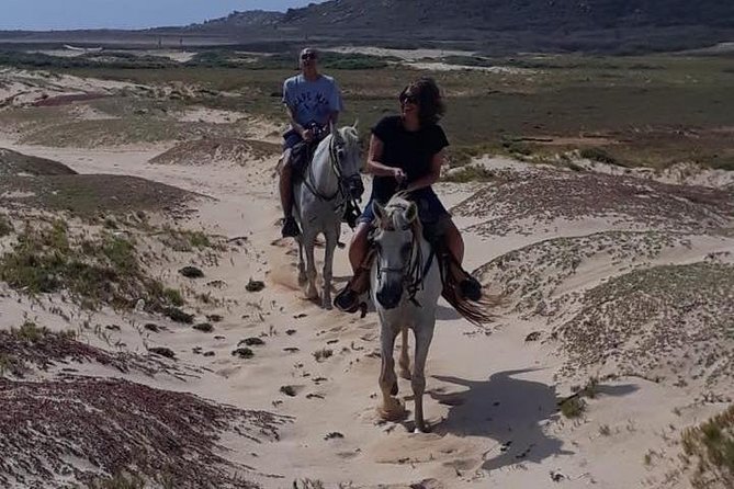 Aruba Countryside: Horseback Adventure to Urirama Cove - Who Should Book This Ride?