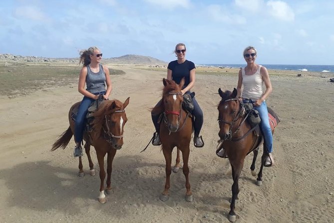 Aruba Horseback Riding Tour For Advanced Riders - Key points before you book