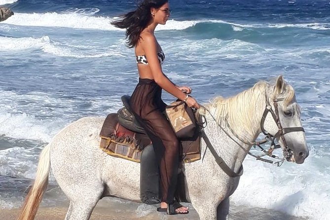 Aruba Horseback Riding Tour For Advanced Riders - What the two-hour route is like