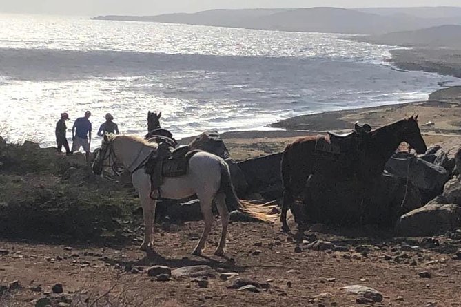 Aruba Horseback Riding Tour For Advanced Riders - Guides and horses shape the day