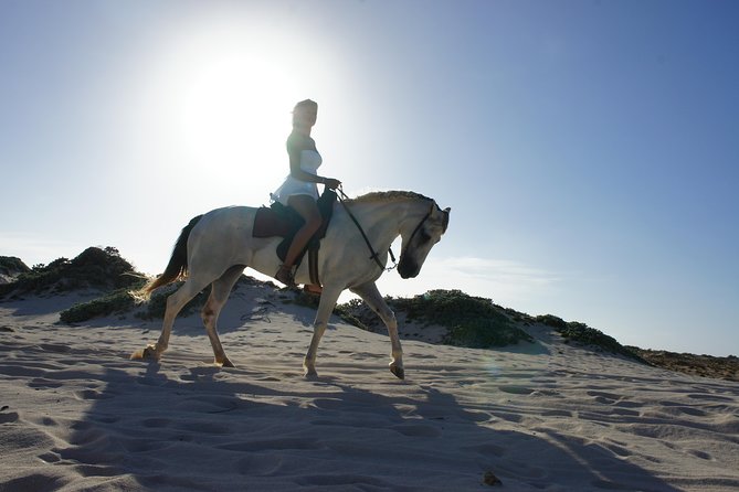 Aruba Horseback Riding Tour For Advanced Riders - What the scenery adds to the value