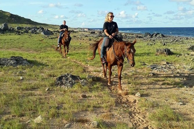 Aruba Horseback Riding Tour to Alto Vista Chapel - Who will enjoy this ride most?