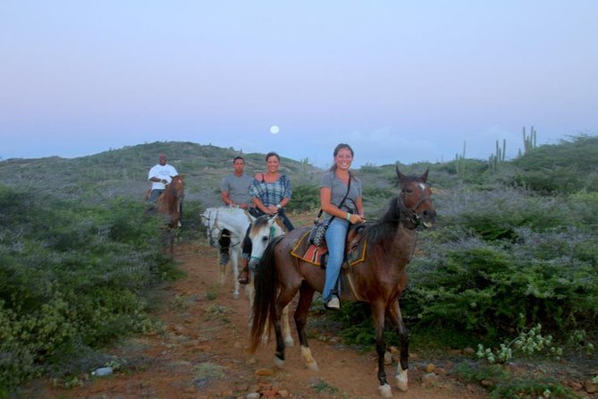 Aruba Horseback Riding Tour to Hidden Lagoon - Key points to know before you book