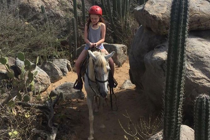 Aruba Horseback Riding Tour to Hidden Lagoon - Why the small group matters