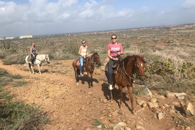 Aruba Horseback Riding Tour to Hidden Lagoon - Horses, guides, and the pace of the ride
