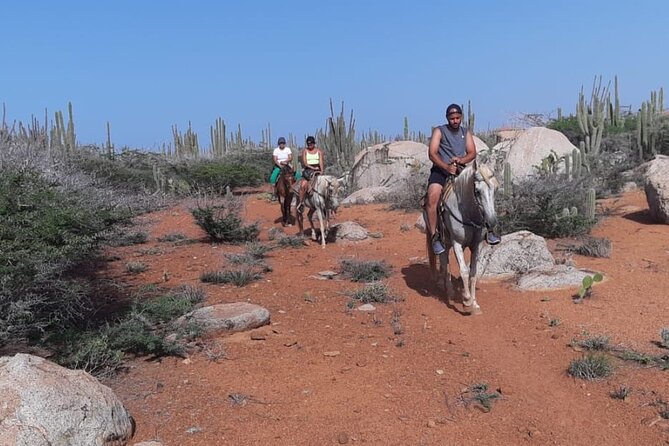 Aruba Horseback Riding Tour to Hidden Lagoon - Practical advice for a smoother outing