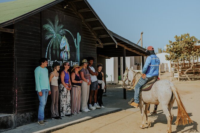 Aruba North Coastline: Small-Group Horseback Riding Tour - Starting at The Gold Mine Ranch near Matividiri