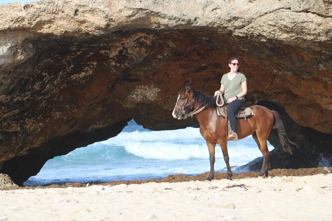 Aruba North Coastline: Small-Group Horseback Riding Tour - Who will enjoy this most