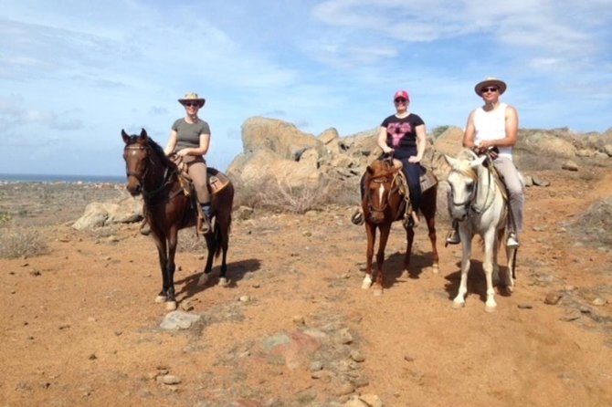 Aruba Private, 2 Hour Horseback Riding Tour For Advanced Riders - Riding Beyond Aruba’s Resort Strip
