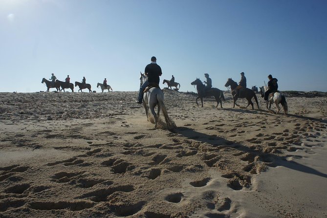 Aruba Private, 2 Hour Horseback Riding Tour For Advanced Riders - Meeting Your Horse at Rancho Notorious