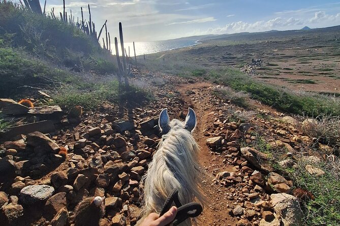 Aruba Private, 2 Hour Horseback Riding Tour For Advanced Riders - What the Private Format Adds