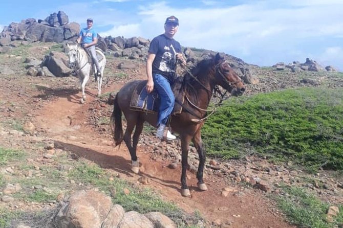 Aruba Private, 2 Hour Horseback Riding Tour For Advanced Riders - Pickup, Timing, and the Small Details That Matter