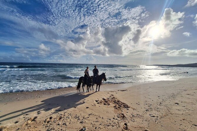 Aruba Private, 2 Hour Horseback Riding Tour For Advanced Riders - How the Guide Sets the Pace