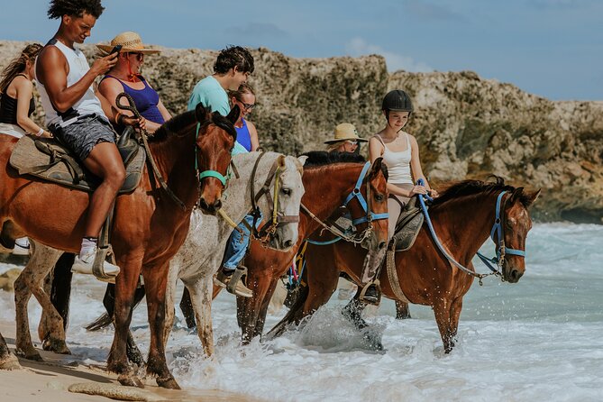 Aruba's Northern Coast Horseback Adventure - Key points to know before you book