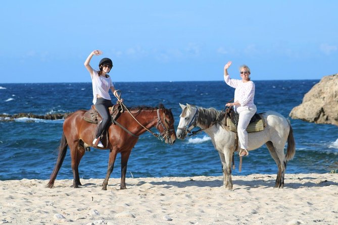 Aruba's Northern Coast Horseback Adventure - Hotel pickup can improve the value at $100
