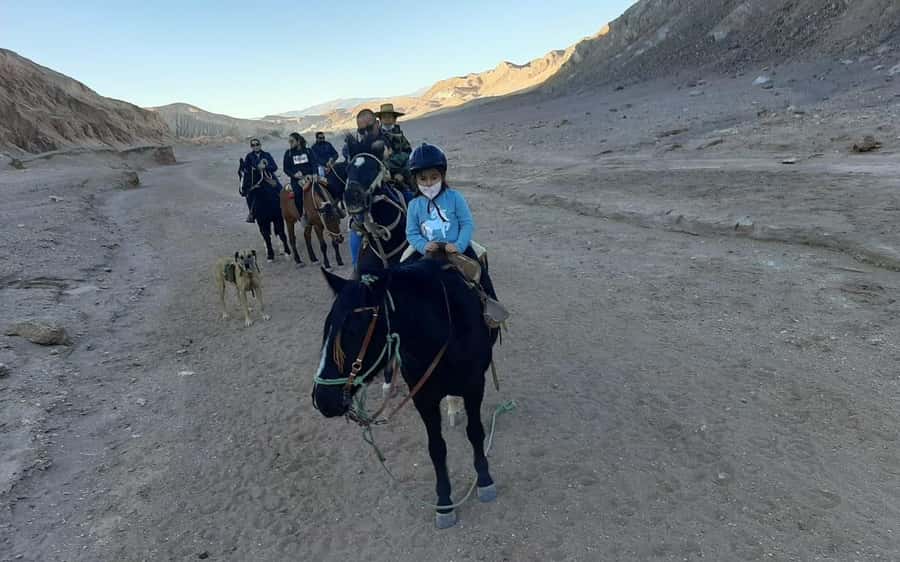 Atacama Desert: Horseback Adventure with Scenic Views - Should you book the Atacama horseback adventure?
