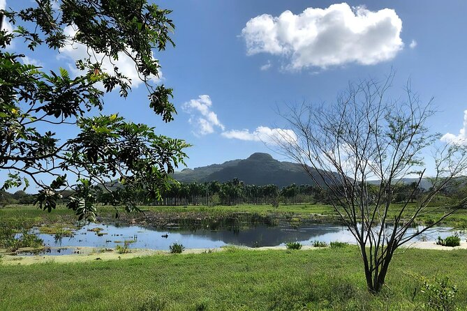 ATV and Horse Riding in Puerto Plata / Shore Excursion & Hotel - Practical booking advice for Puerto Plata