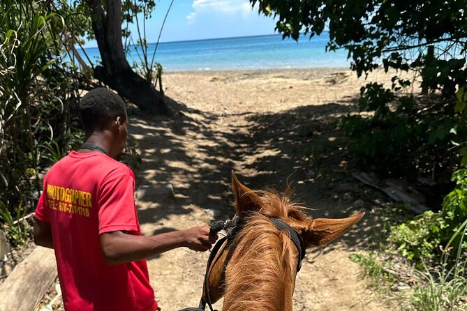 ATV, Bamboo Rafting, Horseback Ride From Montego Bay- Private - Scotchies Drax Hall and the practical end of the day