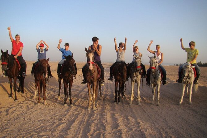 ATV horse stargazing - Key points to know before you book