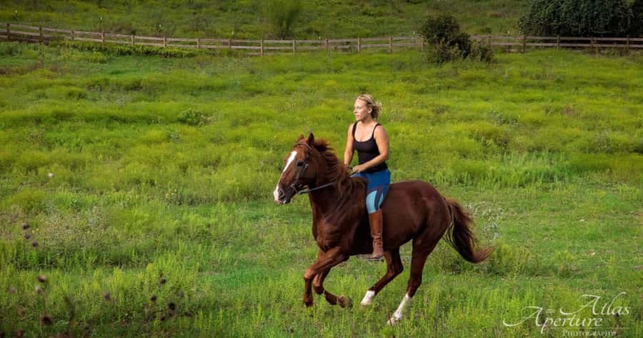Austin: Maverick Horsemanship Trail Ride - A Trail Ride That Takes Riding Seriously