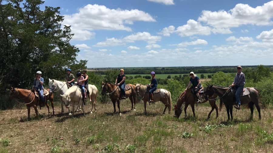 Austin: Maverick Horsemanship Trail Ride - Into the Austin Area Trails