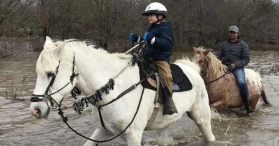 Austin: Maverick Horsemanship Trail Ride