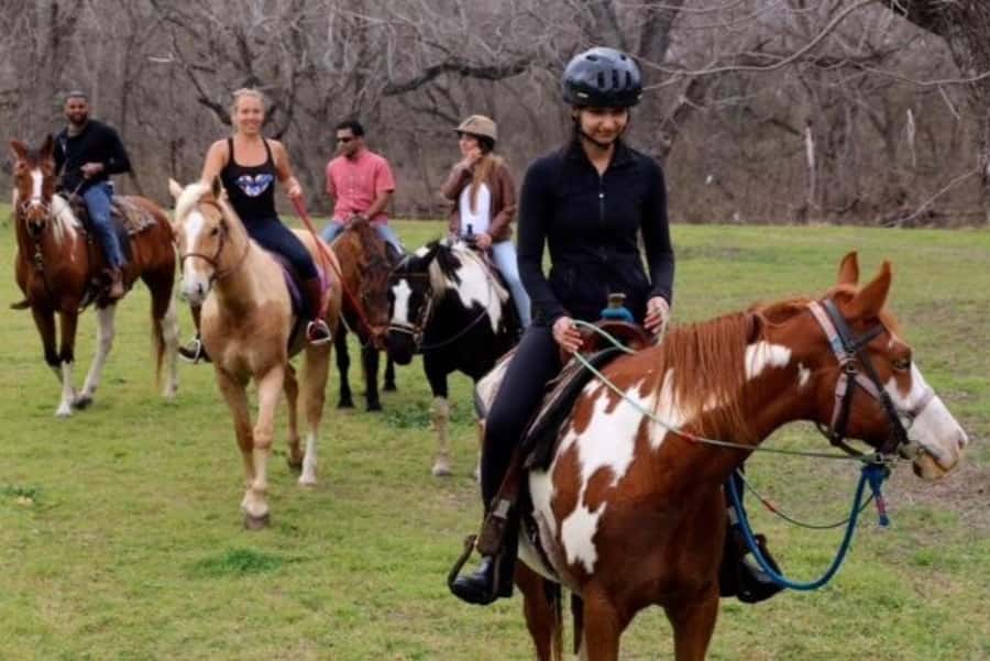 Austin: Maverick Horsemanship Trail Ride - More Pace for Experienced Riders