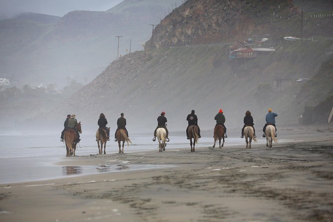 Authentic horseback riding in beautiful La Mision - Key Points to Know Before You Book