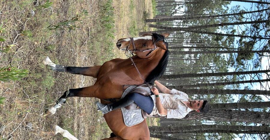 Aveiro: Horse Riding Experience with Instructor - Key points to know before you ride