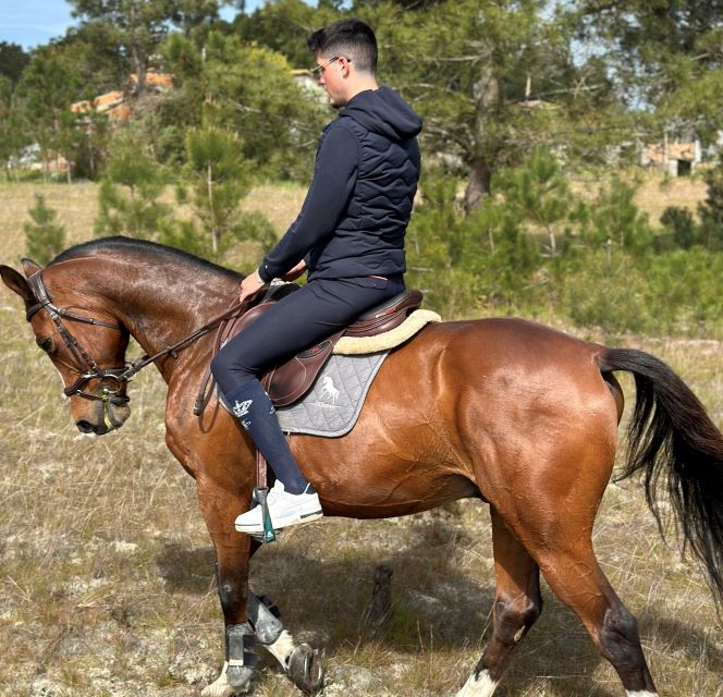Aveiro: Horse Riding Experience with Instructor - Leaving Aveiro for the Colónia Agricola de Ílhavo