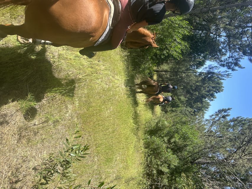 Aveiro: Horse Riding Experience with Instructor - Who will enjoy this ride most?