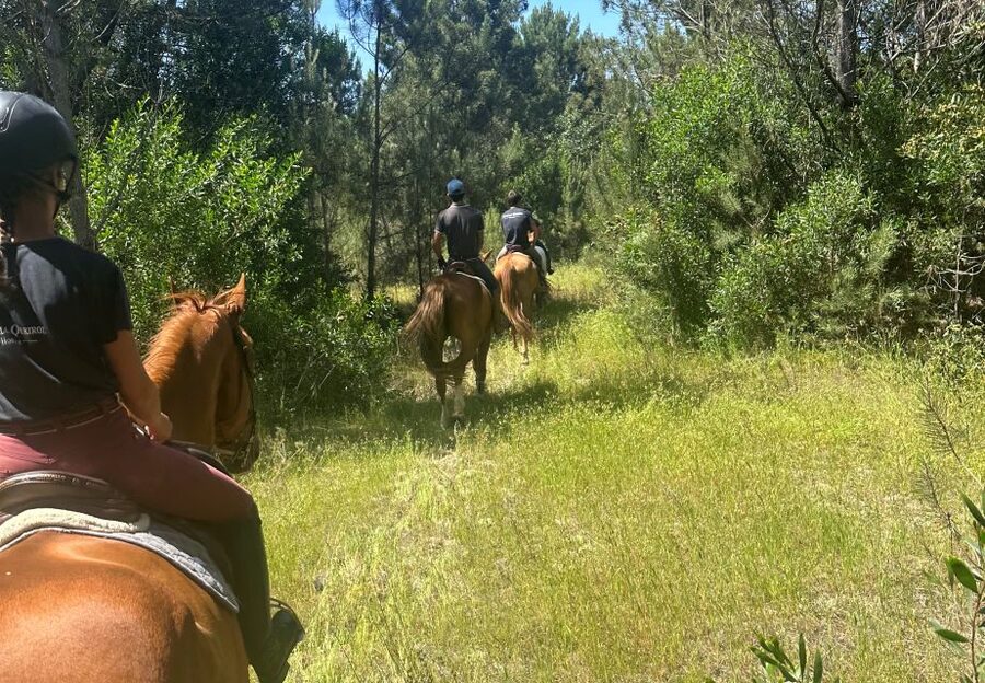 Aveiro: Horse Riding Experience with Instructor - The first minutes: getting comfortable with the horse