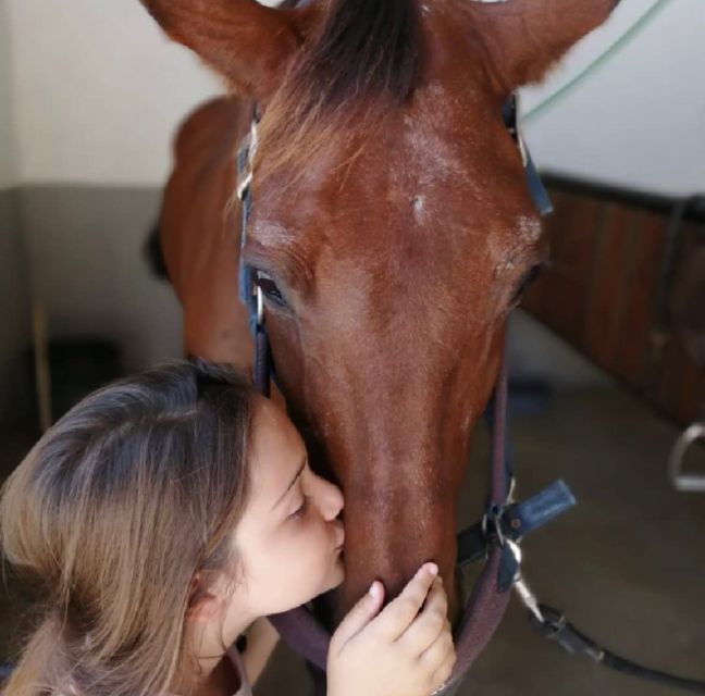 Aveiro: Horseback Riding at a Pedagogical Farm - The good and the less good